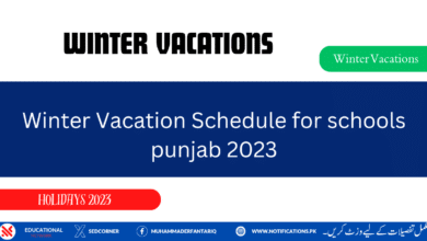 Winter Vacation Schedule for schools punjab 2023